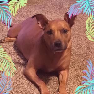 Meet your Posher, Chrissy